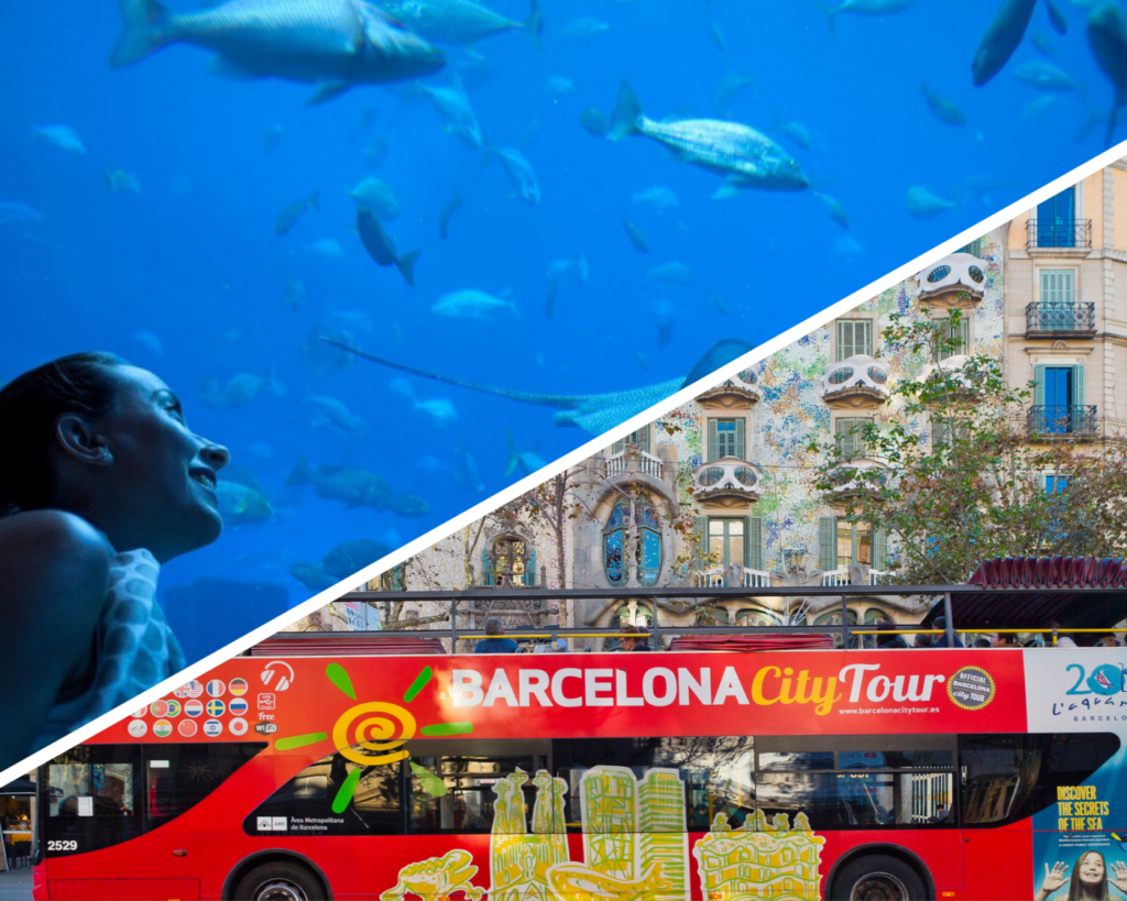 barcelona tourist bus