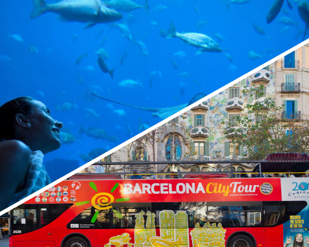 Collage de Aquarium y bus turístico en Barcelona