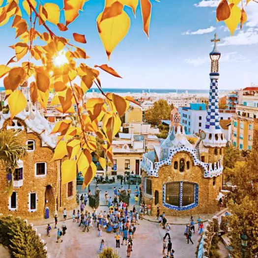 Private Park Güell Guided Tour + Hotel Pick Up