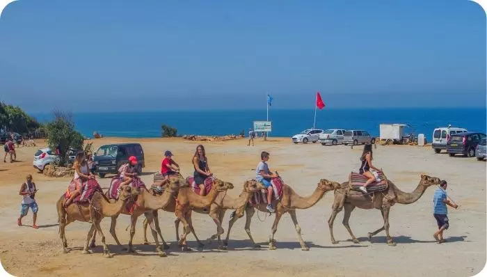 A group of tourists riding camels in Tangier