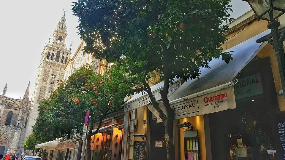 Vistas des de la BAR LA TRADICIONAL